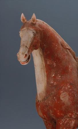 彩绘陶马