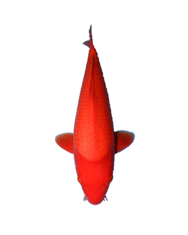 陶序图工艺介绍之三