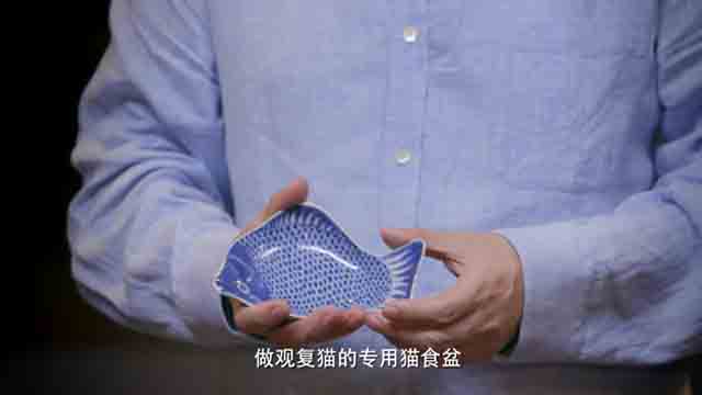 马未都：让猫传递文化，传递历史知识-马未都