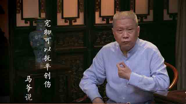 马未都：我为什么养猫不养狗？-马未都
