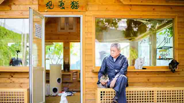在古代，猫比狗地位高？-马未都