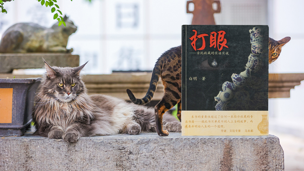 第十四讲 打眼，不冤不乐-马未都