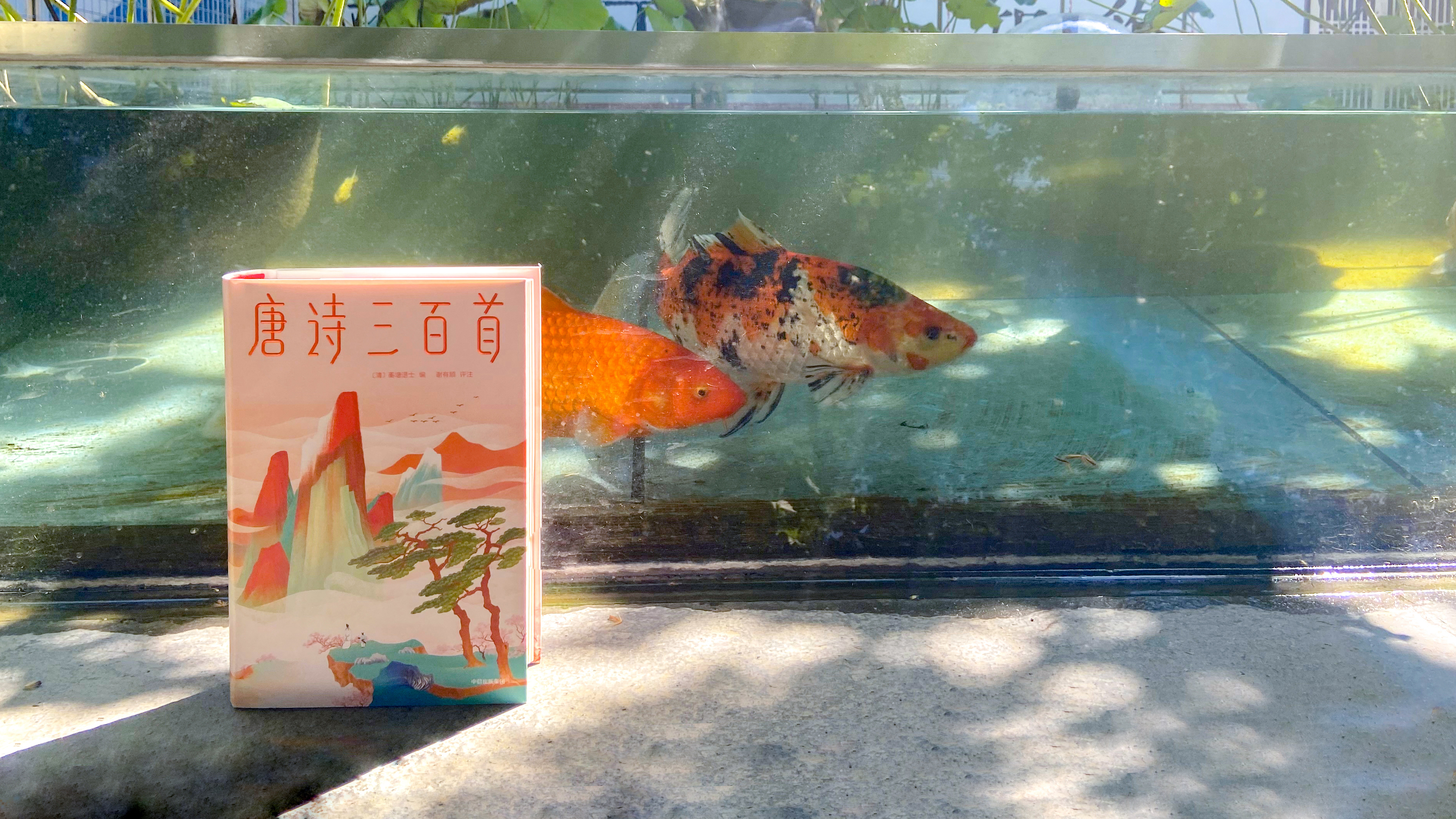第十八讲 两个黄鹂鸣翠柳，唐诗要读三百首-马未都