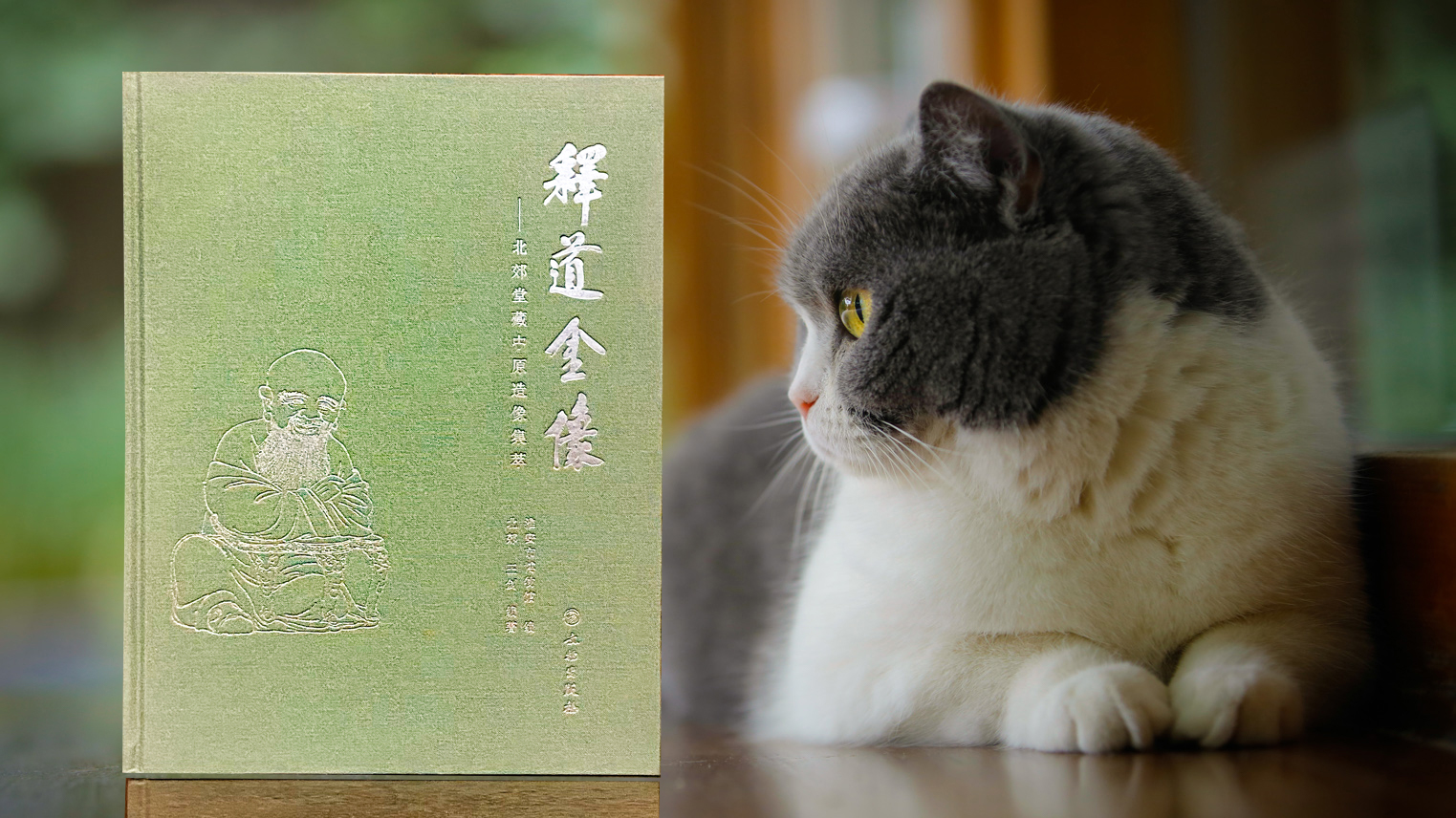 第二十一讲 佛道相融不抵，散放文明之光-马未都