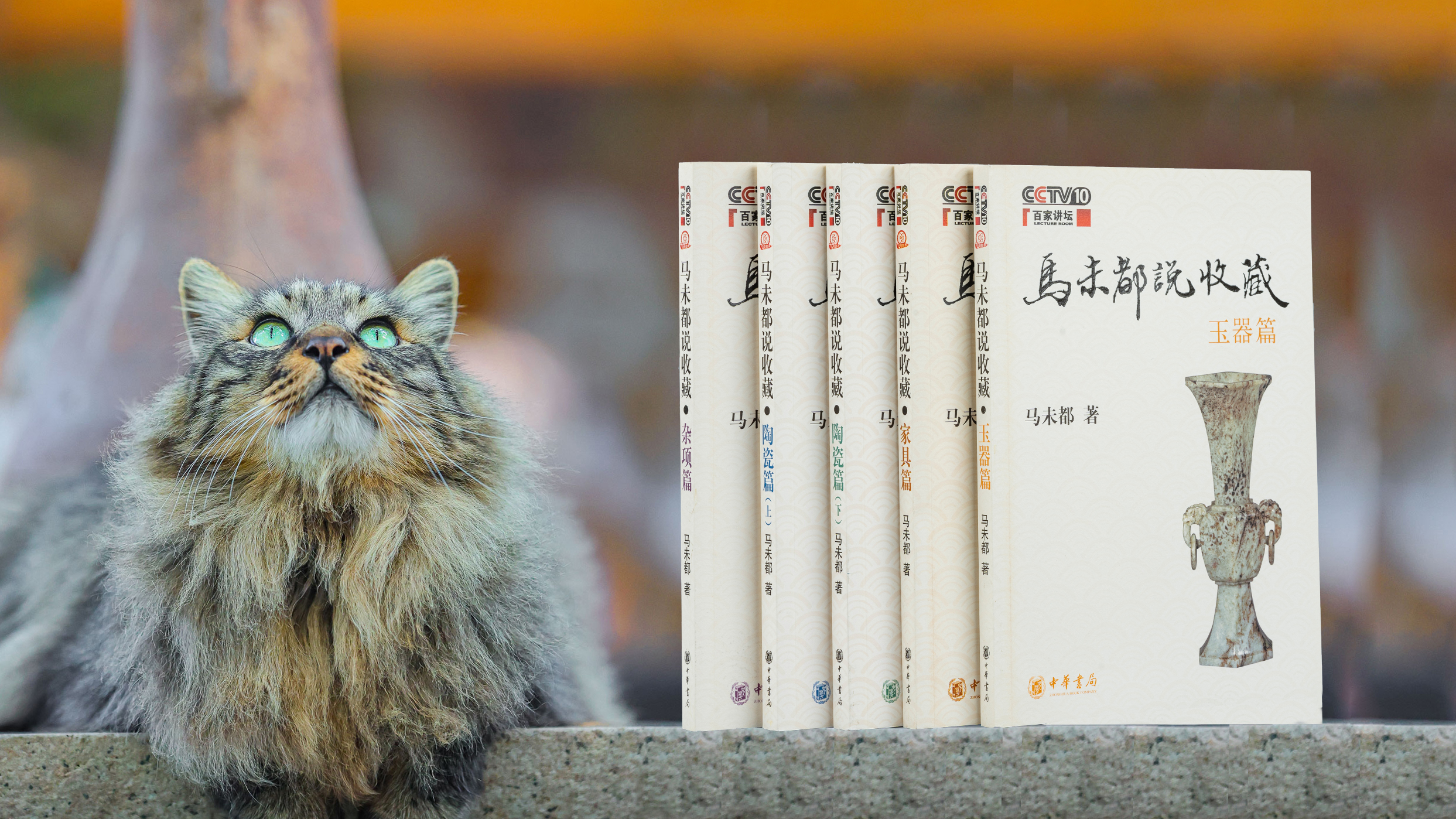 第三十一讲 解读我们的文明成因-马未都