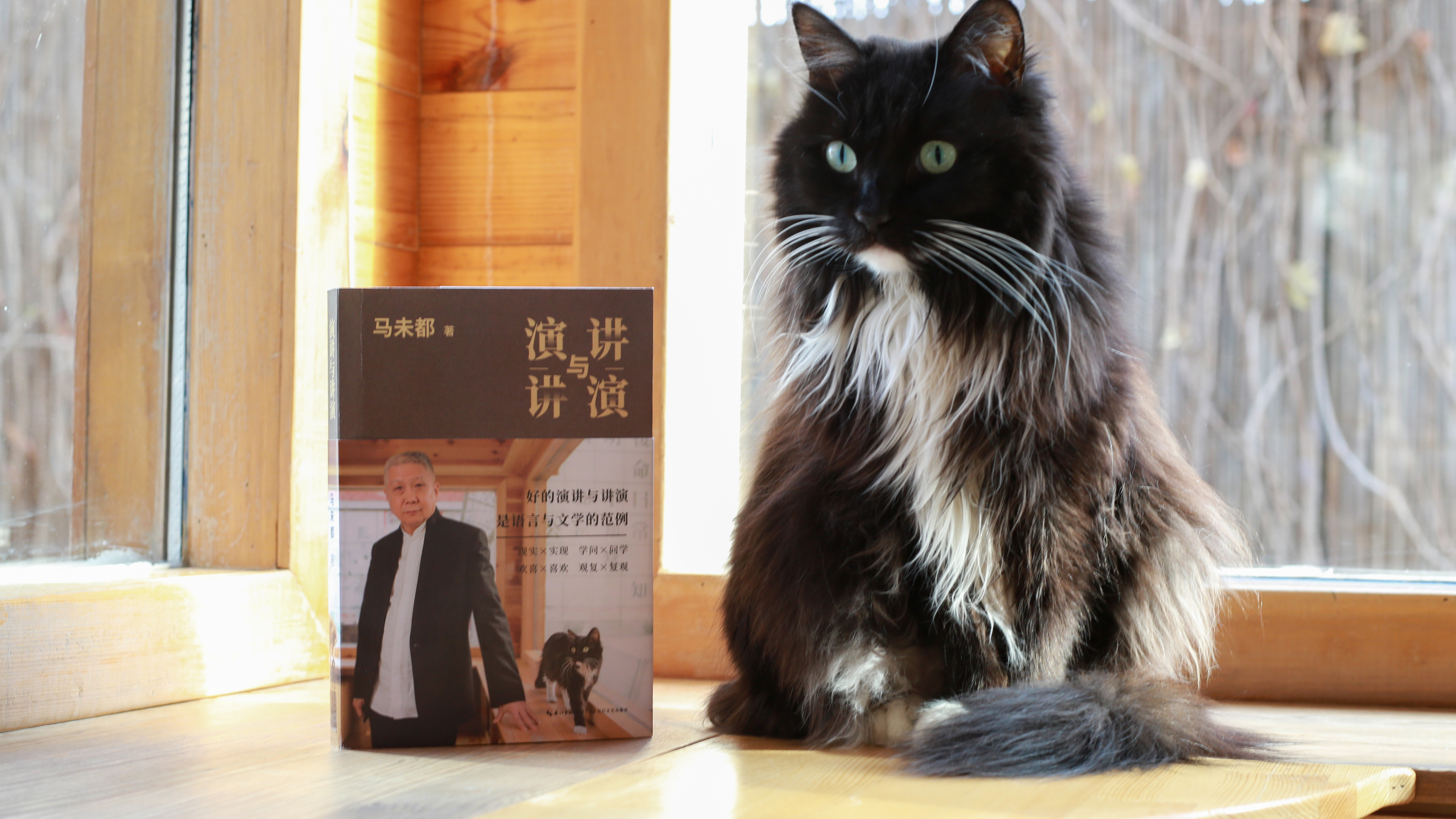 第三十九讲 长长的话慢慢讲-马未都