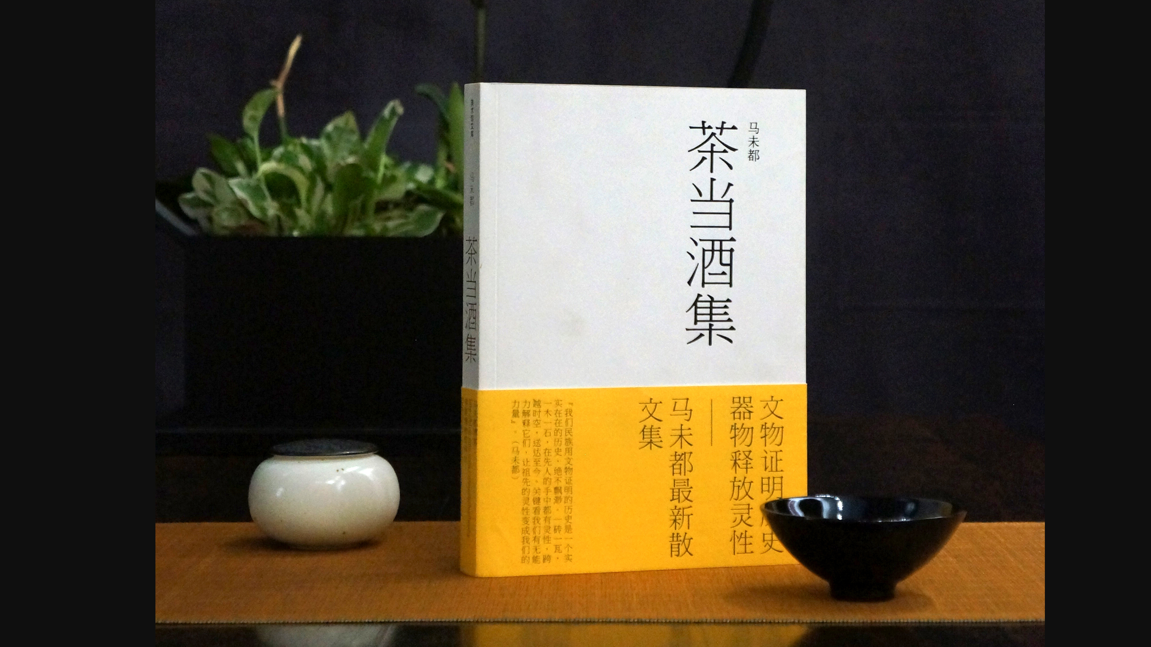 第四十二讲 寒夜客来茶当酒-马未都