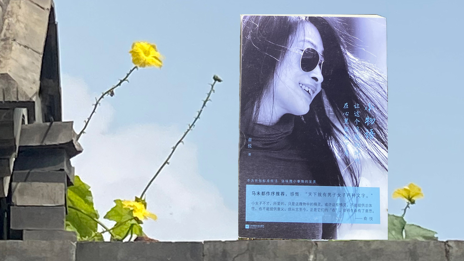 第七十八讲 小物语，大情怀-马未都