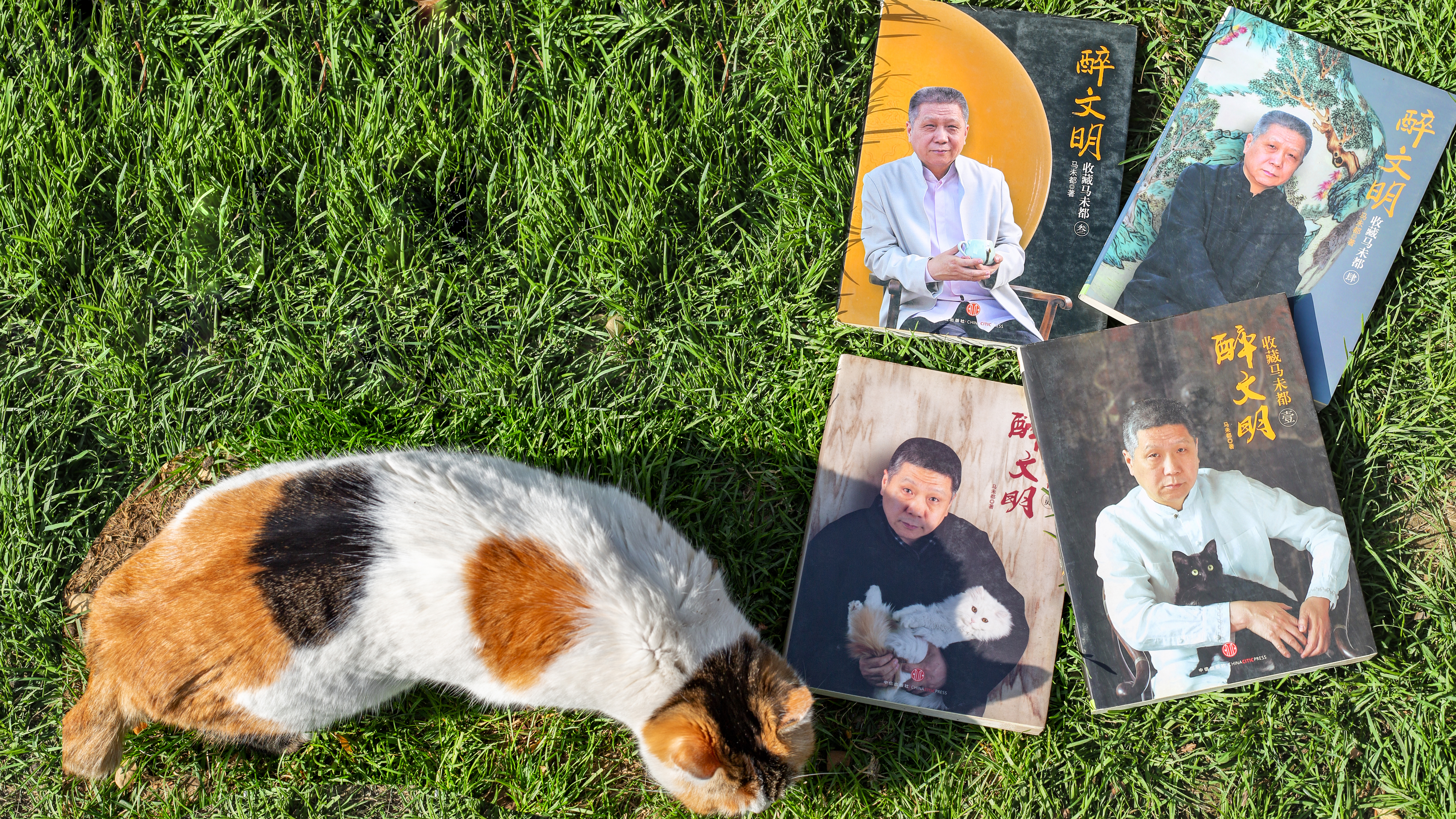 第八十一讲 醉说文明，人生快事-马未都